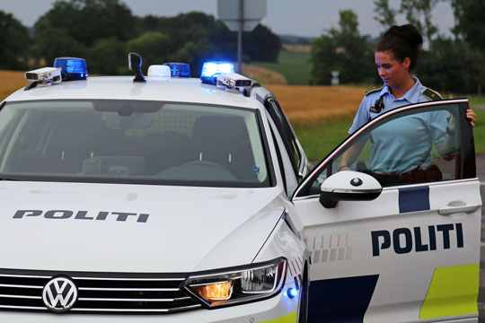 29-�rig st�r til at miste k�rekortet