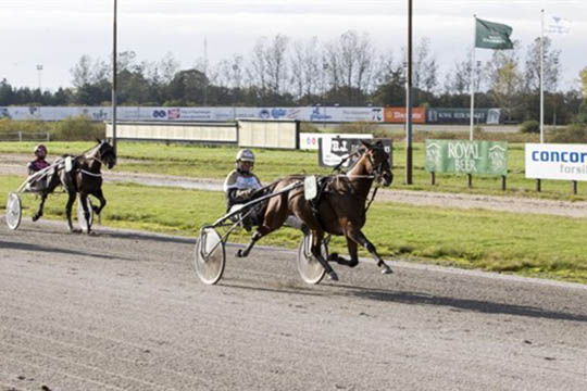 C D tredje i Jydsk 4-�rings Hoppe Grand Prix