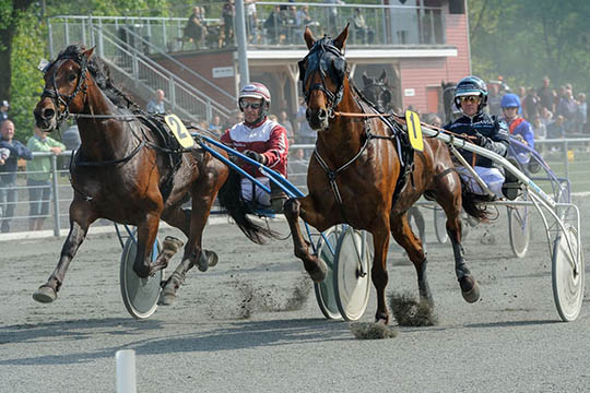 To topheste ikke til start i Golden League