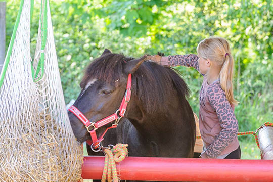 Varmt for folk og f� i Harel�kkerne