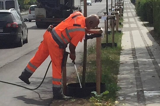 T�rstige tr�er p� Haslevej vandet