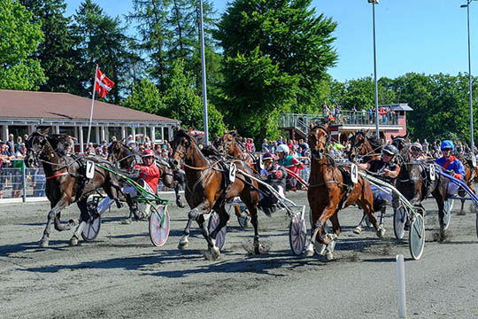 Flot travl�b i Golden League