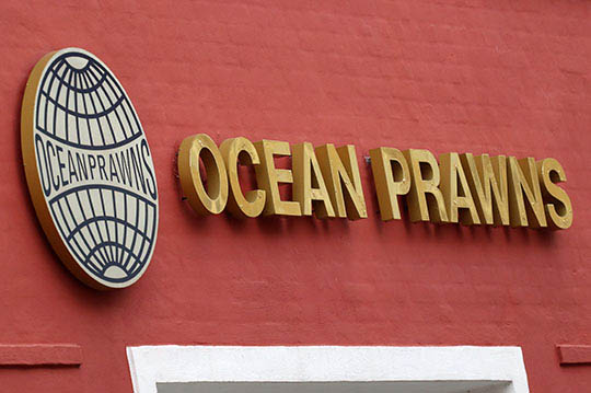 Ocean Prawns' overskud blev 58 mio. kr.