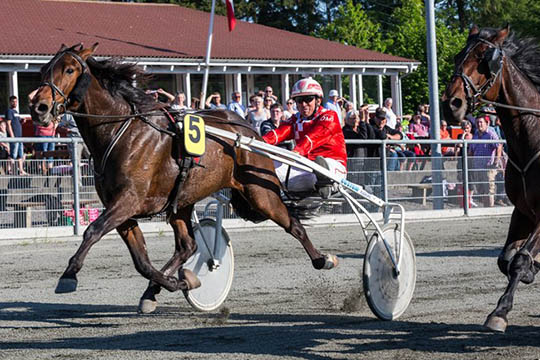 �rets travhest blev toer i Sverige