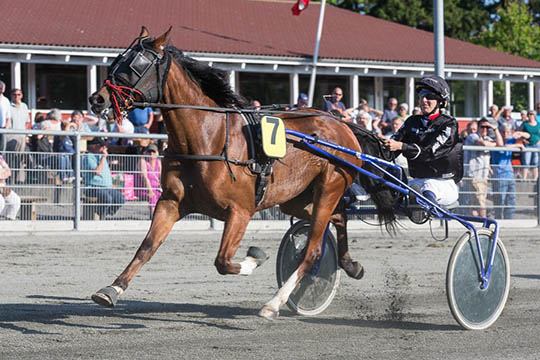 Therese har vundet BM for hopper tidligere