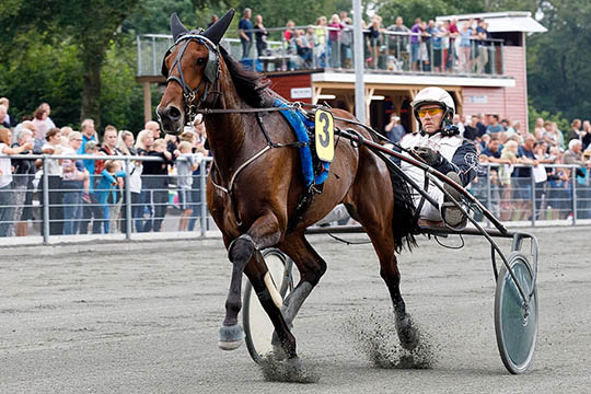 12 heste i �rets bedstbetalte travl�b