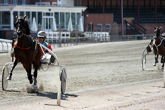 Dobbeltsejr til bornholmeropdr�t i hovedstaden