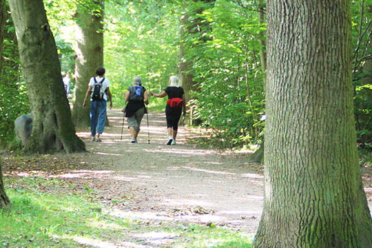 Pr�v en aktiv ferie