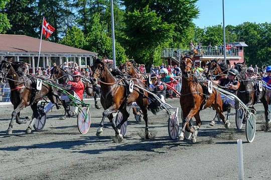 Proffkusk p� Solon i eventuel BM-finale