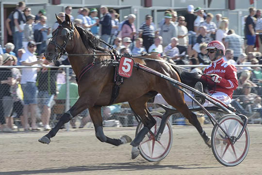 Bornholmsk derbyfavorit totalt v�k