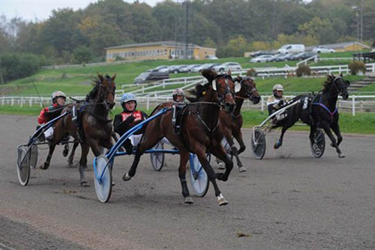 Millionhest i Skive tilmeldt Bornholmsmesterskabet