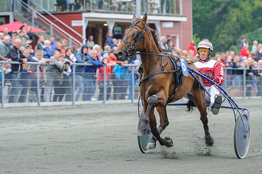 Bedste Derby-felt i mange �r