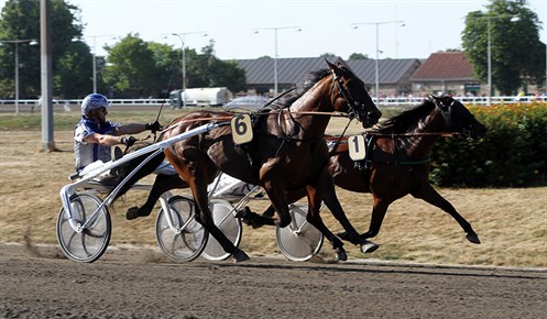 To travsejre i hovedstaden
