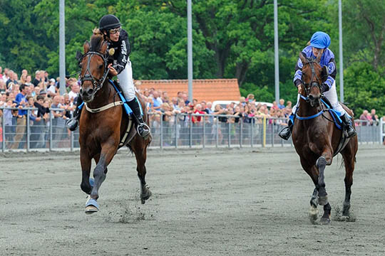 Ingen vellykket mesterskabsoptakt for Gommans
