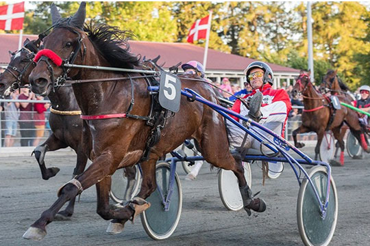 Gommans kan k�re b�de BM og Golden League