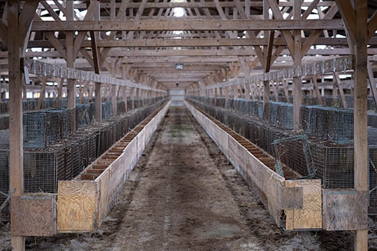 Konkursdekret p� minkfarm oph�vet