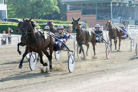 Bornholmer tror p� f�lles br�dresucces