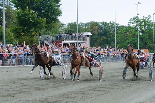 Solon str�g ogs� til tops pengem�ssigt