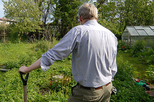 Lad ikke ukrudtet f� fred