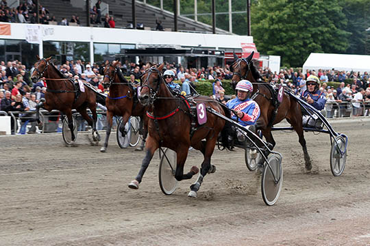 Bornholmeropdr�t til tops i hovedstaden