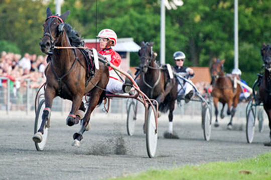 10 travheste tilmeldt 3 �rs mesterskabet