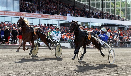 Bornholmsk derbyfavorit stod ikke distancen