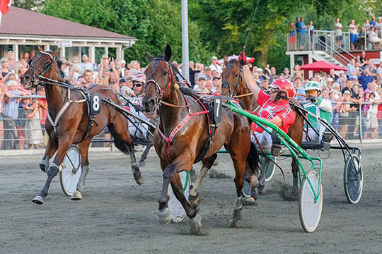 Ny travhest til Frank Mikkelsen