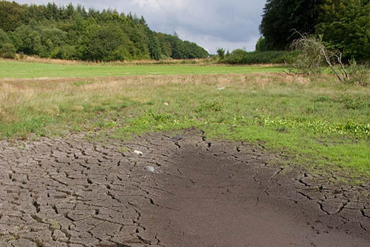 T�rken skr�mte vandfuglene v�k