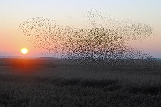 St�ren fylder br�ndstof p�