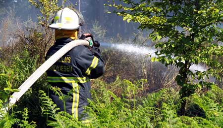 Brand i R� Plantage slukket