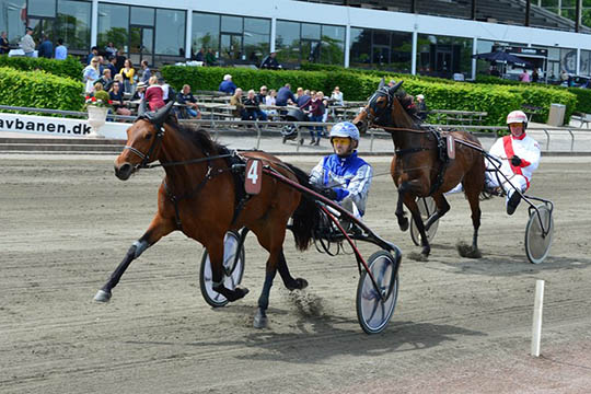 Bornholmer tror p� derbybillet i dag