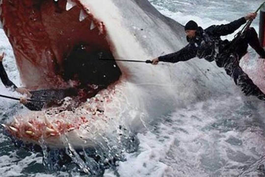 R�nne Bio viser film om monsterhaj 