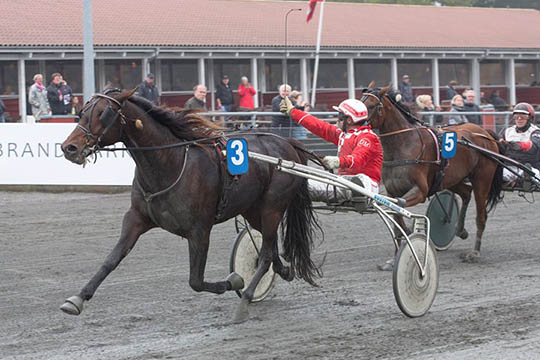 �rets hest jumbo i Sverige