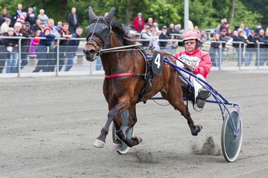 Sejrshesten Presley stopper karrieren