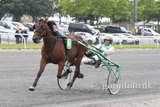 Ny hest handlet til Bornholm