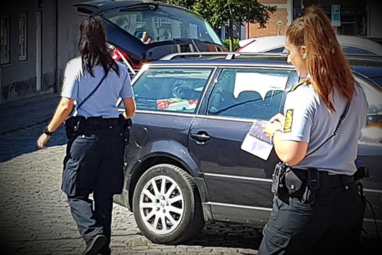 81-�rigs hund bed mand