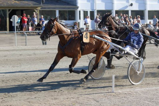 Bornholmer tr�nerskifter lilles�ster til derbyvinder