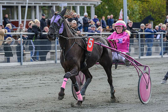 To travprofiler id�mt to ugers karant�ne