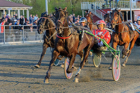 Gommns gl�der sig til atter at k�re travl�b