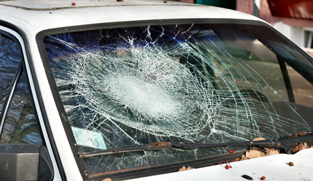 Kvinde begik h�rv�rk p� syv biler