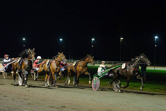 Wega Vang fik revanche