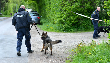 Beruset mand ville flygte fra politiet