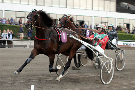 Toppr�station af bornholmeropdr�t