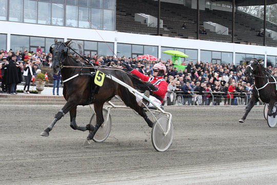 Topchance til bornholmeropdr�t i Odense