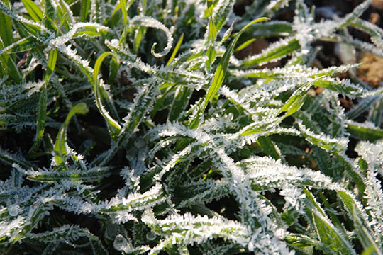 Haven har ogs� brug for vand i januar