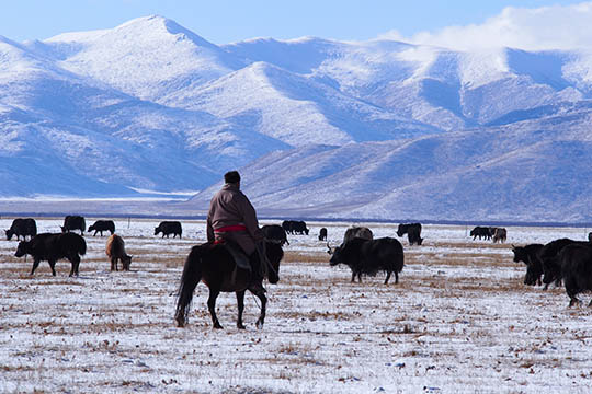 Rejseskribent fort�ller om Kina