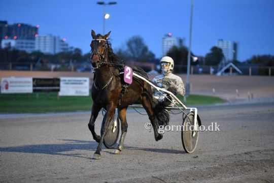Travhest handlet tilbage til Bornholm