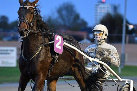 Bornholmeropdr�t i en s�rpr�get auktion