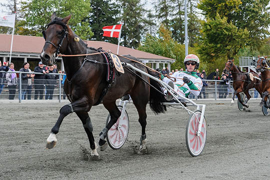 Bornholms travelite i kamp om 190.000 kr.