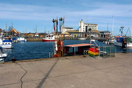 Kunstnere vil etablere kunsthal i Nex�